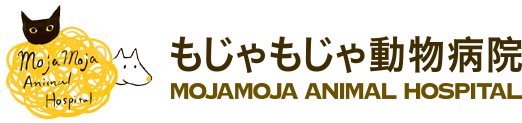 もじゃもじゃ動物病院　トップページへ